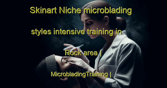 Skinart Niche microblading styles intensive training in Rock area | MicrobladingTraining | MicrobladingClasses | SkinartTraining-United States